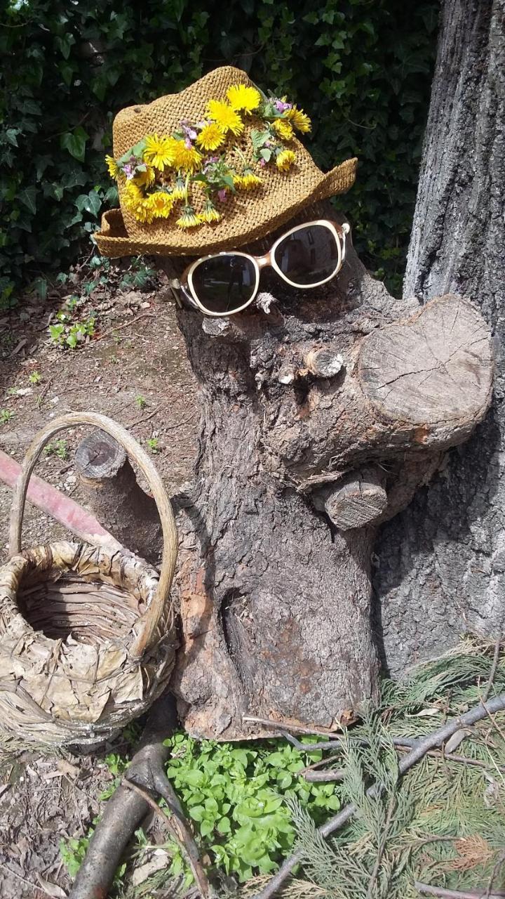 Nimet Hanim Konagi Safranbolu Kültér fotó